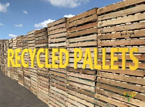 Pallet sales near me - Find crates and pallets for sale near you with help from Rose Pallet! flag A leading national provider of pallets. phone CALL (708) 333-3000 Request Quote. Home ... 